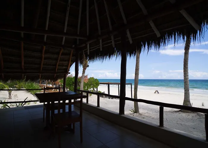 Hotel Bt Live Located At The Party Zone Tulum
