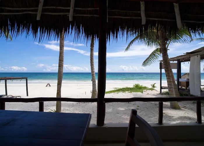 Bt Live Located At The Party Zone 4* Tulum