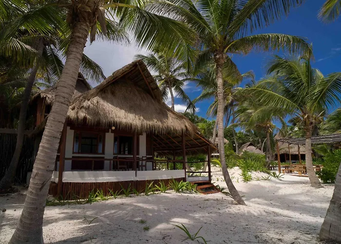 Hotel Bt Live Located At The Party Zone Tulum