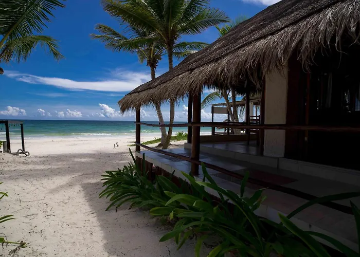 Bt Live Located At The Party Zone Hotel Tulum