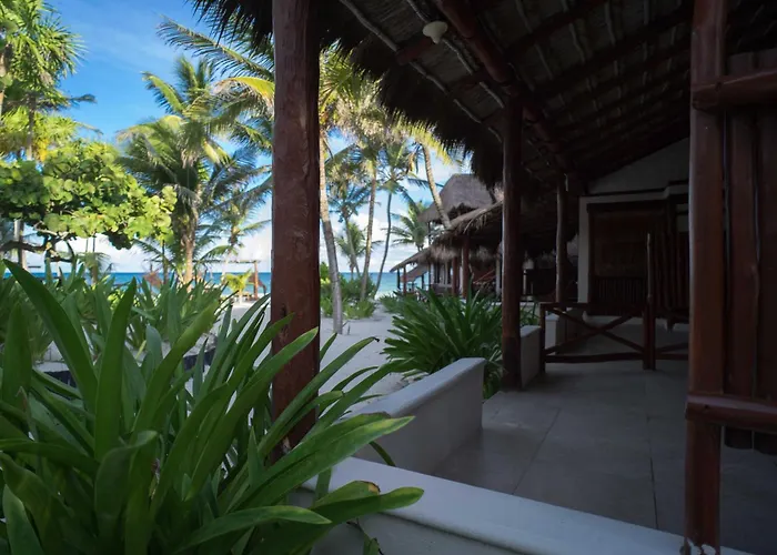Hotel Bt Live Located At The Party Zone Tulum