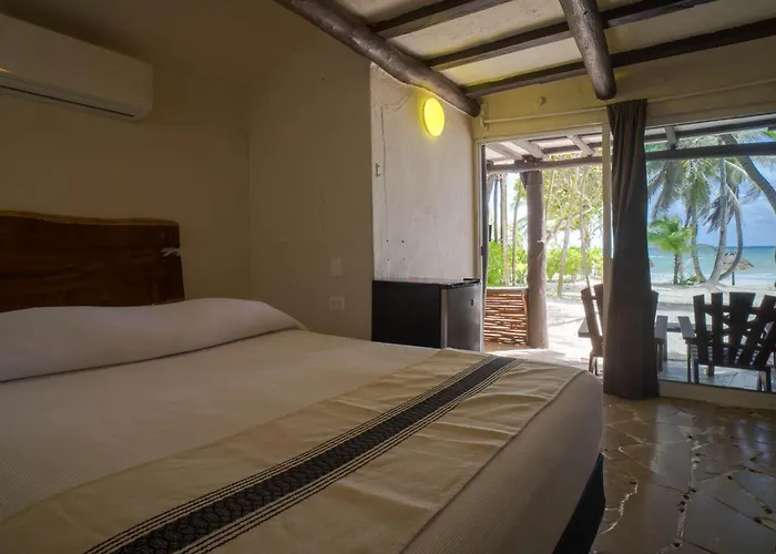 Bt Live Located At The Party Zone Hotel Tulum