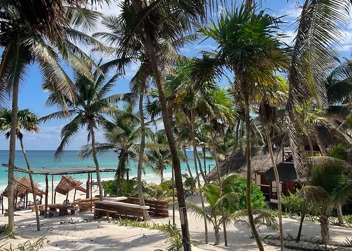 Bt Live Located At The Party Zone 4* Tulum