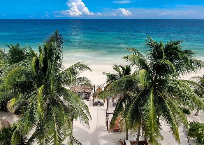 Bt Live Located At The Party Zone 4* Tulum