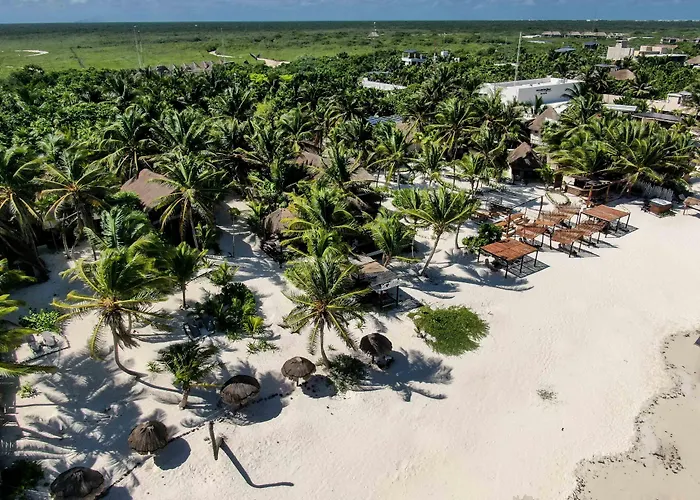 Bt Live Located At The Party Zone 4* Tulum
