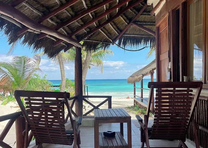 Hotel Bt Live Located At The Party Zone Tulum