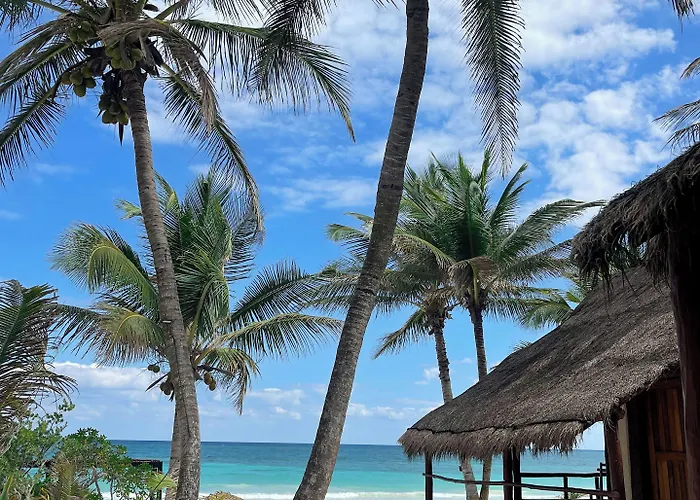 Hotel Bt Live Located At The Party Zone Tulum