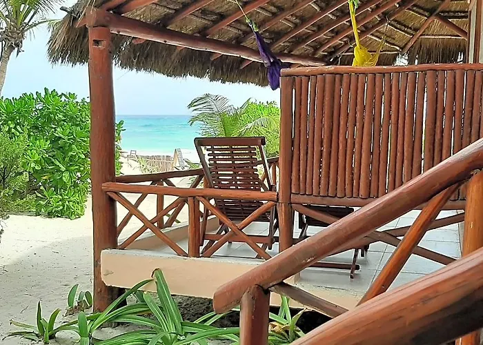 Bt Live Located At The Party Zone Hotel Tulum