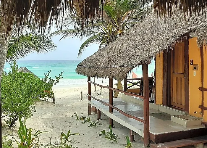 Bt Live Located At The Party Zone Tulum