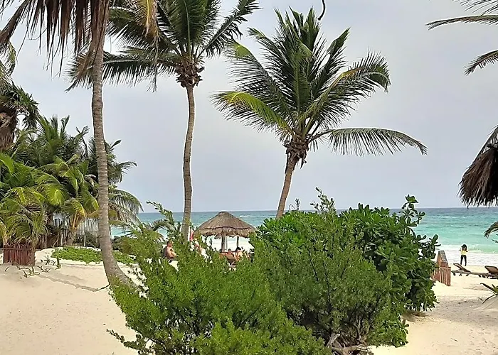 Bt Live Located At The Party Zone Hotel Tulum