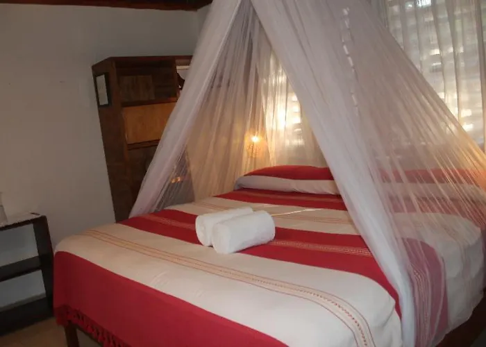 Bt Live Located At The Party Zone 4* Tulum