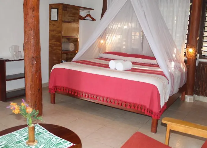 Bt Live Located At The Party Zone Hotel Tulum