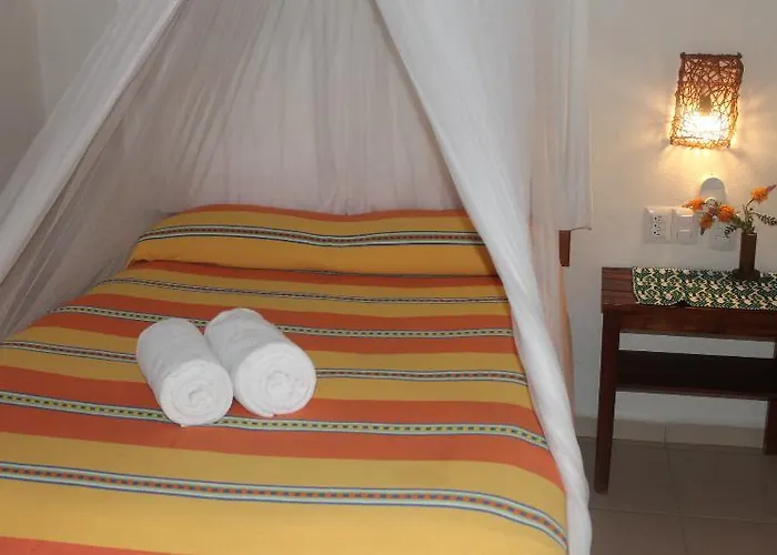 Bt Live Located At The Party Zone Hotel 4*