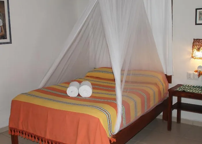 Hotel Bt Live Located At The Party Zone Tulum